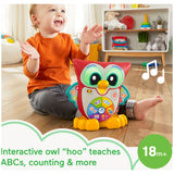 Fisher-Price Linkimals Light-Up And Learn Owl