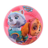 Pink Paw Patrol Play Ball Outdoor Toys